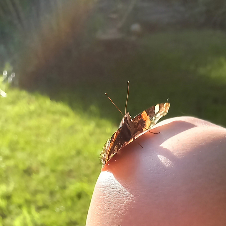 zielsconnectie zielsverbinding zielsverwant vorige levens ware liefde