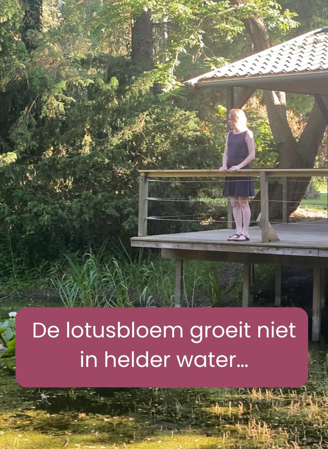De modder is geen vergissing de ontvouwing van de lotusbloem De modder is geen vergissing de ontvouwing van de lotusbloem