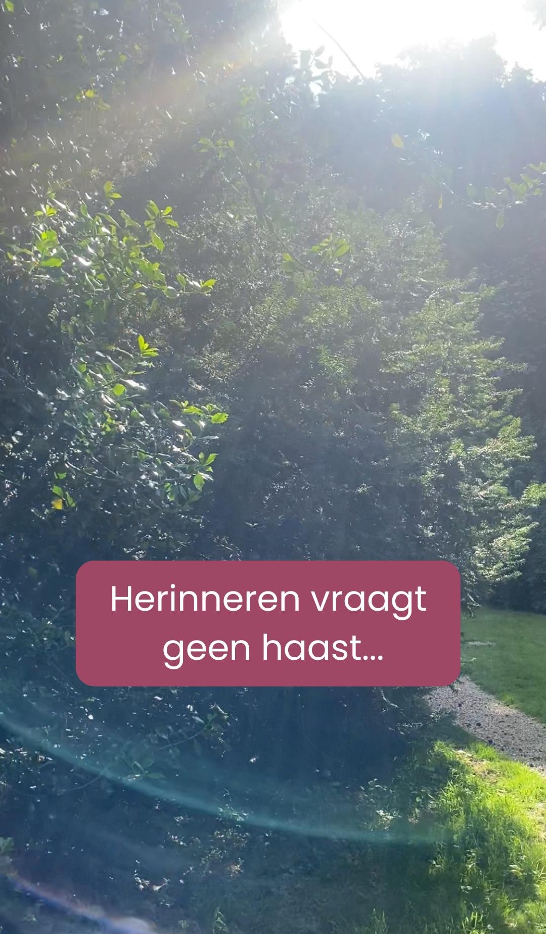 Herinneren vraagt geen haast