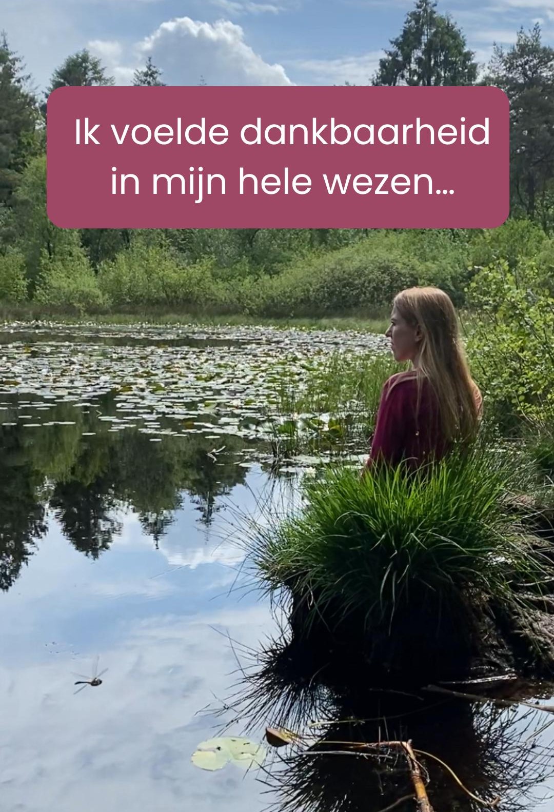 ik voelde dankbaarheid in mijn hele wezen ik voelde dankbaarheid in mijn hele wezen