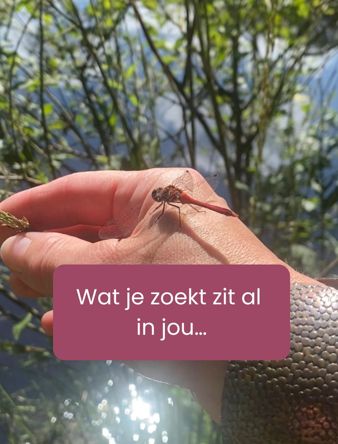 Wat je zoekt zit al in jou