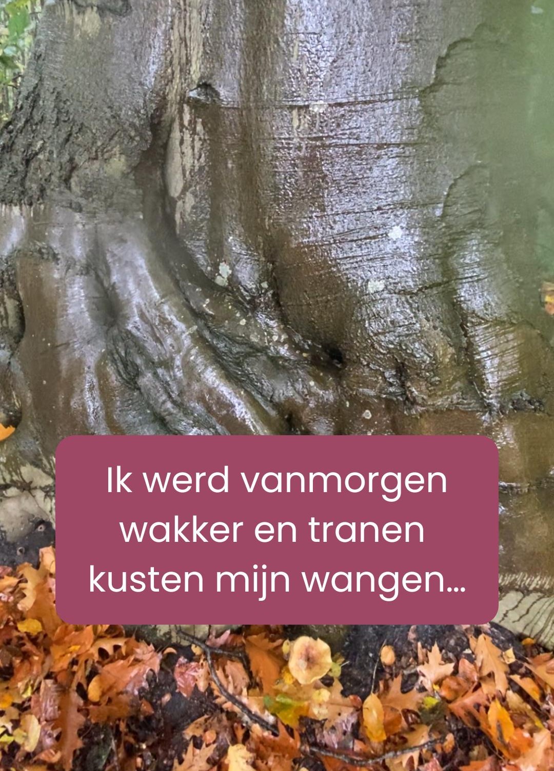 Ik ben net wakker en tranen kussen mijn wangen